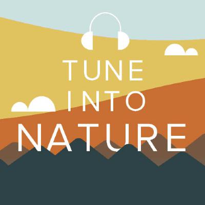 Sustainable Spokes: Biking Culture in Fort Collins
