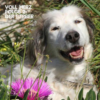 Folge 2 - Der Berber