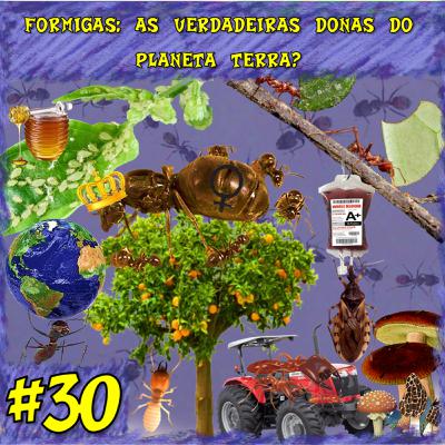 T2#30 - Formigas: As Verdadeiras Donas do Mundo? T2#30 - Formigas: As Verdadeiras Donas do Mundo?