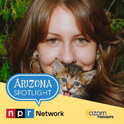 "Poets Square: A Memoir in Thirty Cats"--Why Courtney Gustafson's book is resonating with more than just cat lovers.