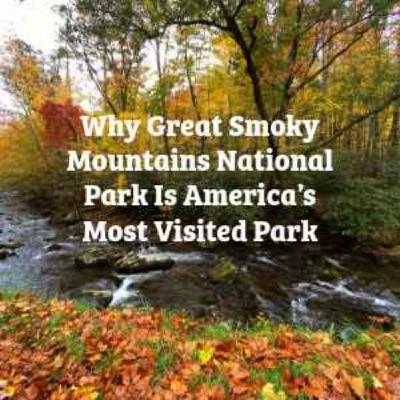 Why Great Smoky Mountains National Park Is America’s Most Visited Park Why Great Smoky Mountains National Park Is America’s Most Visited Park