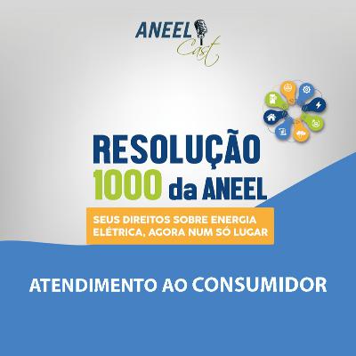 Série Especial Resolução 1000 - Atendimento ao Consumidor