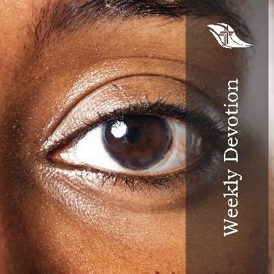 Weekly Devotion: June 16, 2025 "Perfect Vision" Weekly Devotion: June 16, 2025 "Perfect Vision"
