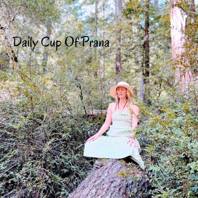 Grounded & Centered🌱Plant medicine Meditation. Grounded & Centered🌱Plant medicine Meditation.