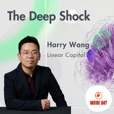 The Deep Shock | DeepSeek, Robotics, and China VC going Global with Harry Wang
