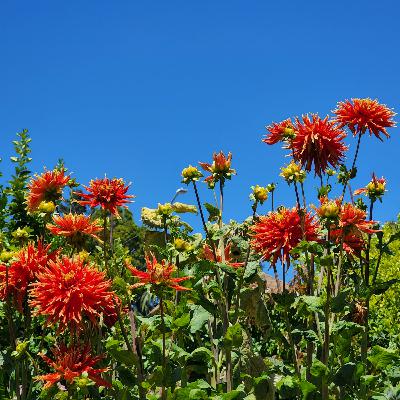 In Conversation with Judith Lowry