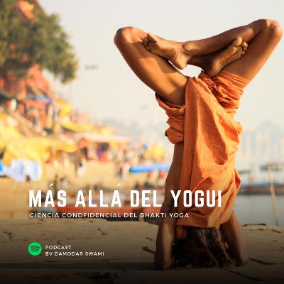 Más allá del Yogui