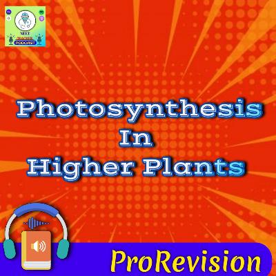 Photosynthesis In Higher Plants