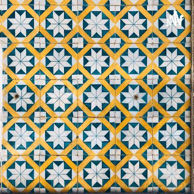 Sistema del cuerpo humano y los niveles de organización estructural.