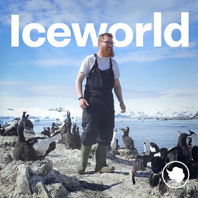 S4 Ep4: Scouting for shags and skuas with Paul Whitelaw and Aurelia Reichardt