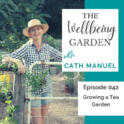 Growing a Tea Garden Growing a Tea Garden