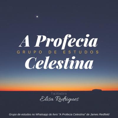 [Profecia Celestina] Capítulo 5 - A Mensagem Dos Místicos