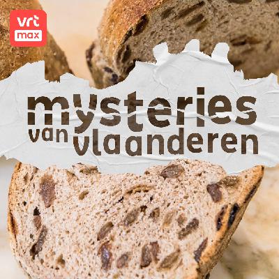Hoe kwam er een vloek op het RoggeVERDOMMEke?