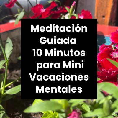 Meditación Guiada para Mini Vacaciones Mentales 🏝️ | 10 Minutos