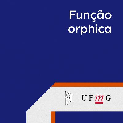 Função orphica Função orphica