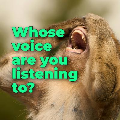 Episode 10: Whose Voice Are You Listening To?