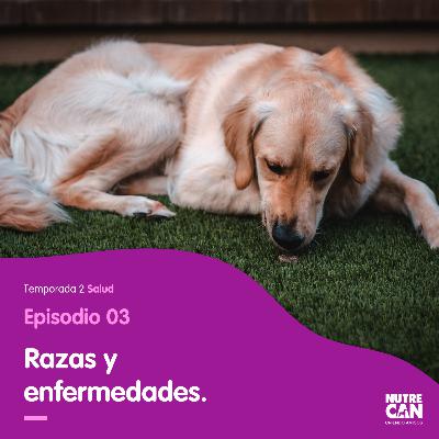 ¿Qué enfermedad puede sufrir mi mejor amigo? ¿Qué enfermedad puede sufrir mi mejor amigo?