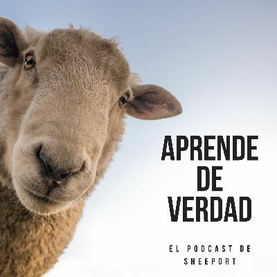 Sheeport Cap 03 «SEO Feo y SEM Rem»