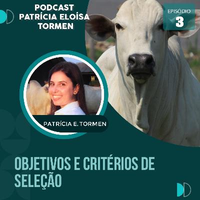 EP. 3 - Objetivos e critérios de seleção.