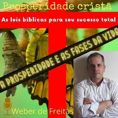 Dicas de hoje: Prosperidade de saber que a vida está repleta de fases