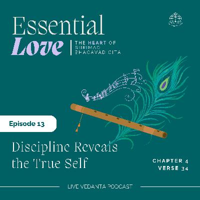 📓 Discipline Reveals the True Self | Essential Verse 13 📓 Discipline Reveals the True Self | Essential Verse 13