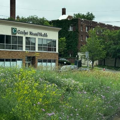 Where is My Property Tax Money Going?