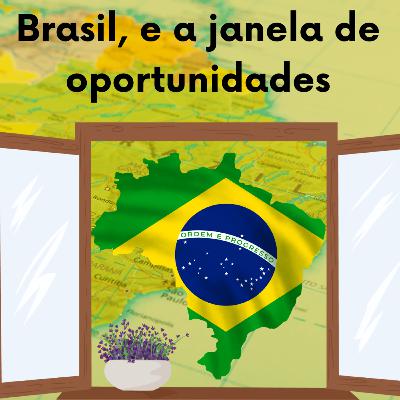 Janela de Oportunidades para o Brasil + 4 anos do PIPA