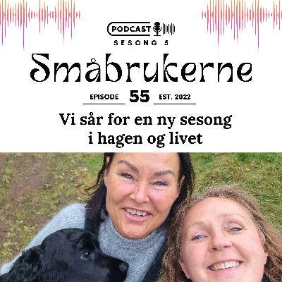 Vi sår for en ny sesong i hagen og livet