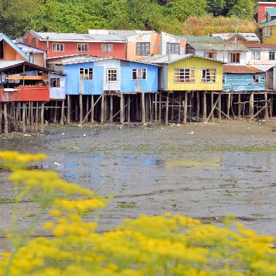 What history teaches us about community re-builds