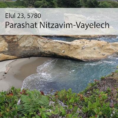 AE: Torah for the Earth - Nitzavim-Vayelech AE: Torah for the Earth - Nitzavim-Vayelech