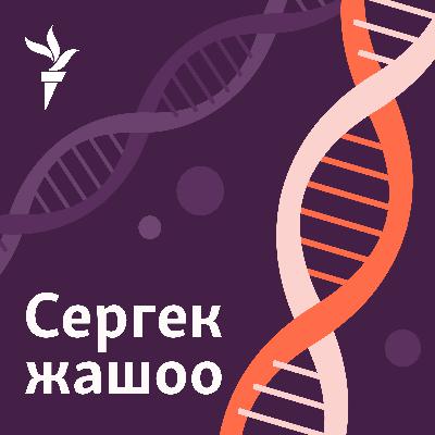 "Көз кызарып, баш ооруйт". Сасык тумоонун кесепети