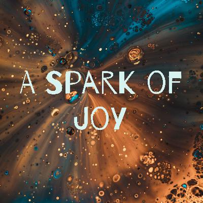 A Spark of Joy - The Spirit of Play S2E30