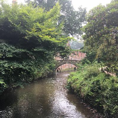 E3: The Natural World of Quarry Bank Mill with Jamie Farrington