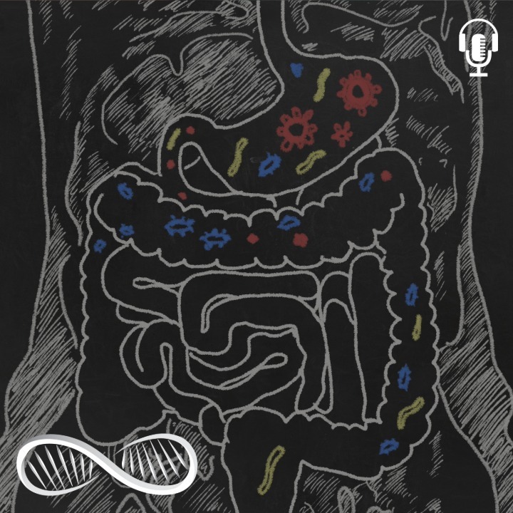 Defeat Digestive Dysfunction! 8 tips for fixing leaky gut, IBS & enjoying delightful digestion 😋
