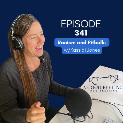 341.  Racism and Pitbulls w/ Kassidi Jones (Replay)