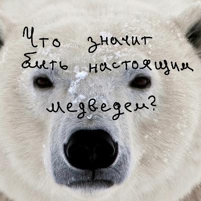 сказка Что Значит Быть Настоящим Медведем? | Папа и Герман