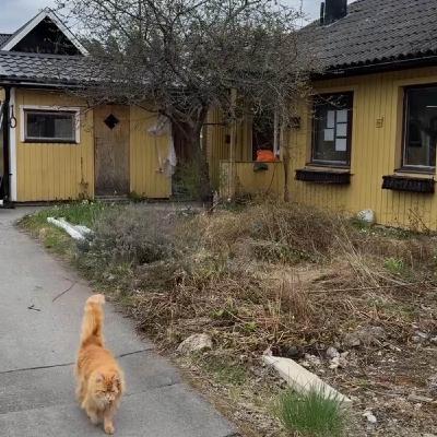 Radhusrenoveringen - tipsen du behöver Radhusrenoveringen - tipsen du behöver