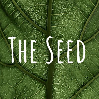 July 19, 2023 – Noah (Faith of Our Fathers Summer Series w/ Floyd Rodgers, Jr)