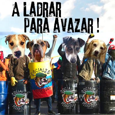 A Ladrar para Avanzar