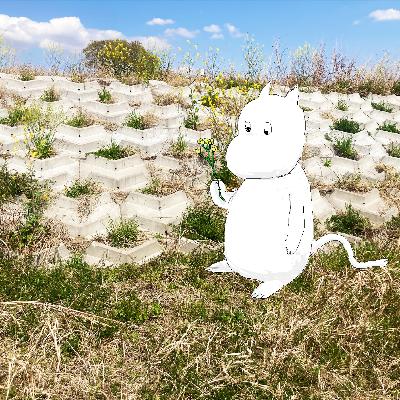 えび沢とムーミンに学ぶシンプルライフ