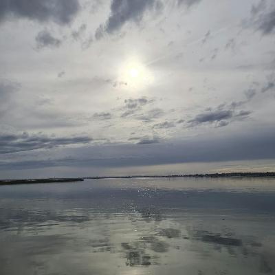 Sound Escape 249. The haunting calls of waders and wild geese on forgotten Essex coast