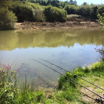 Episode 3 Mackerel, Cuckoo Wrasse, Another Blank