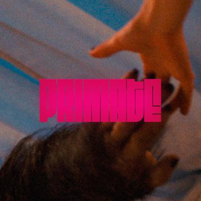 Primate & Animals Gone Bad