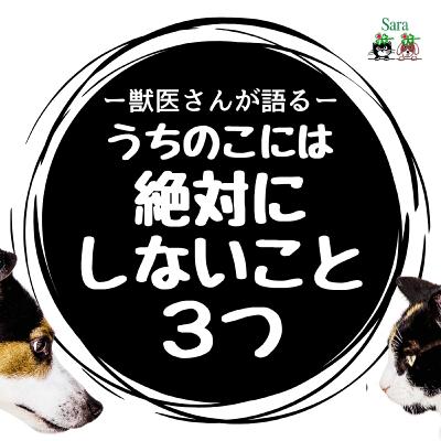 #1017. 獣医師である私がうちのこには絶対にしないこと３つ
