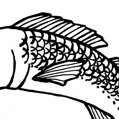 〔7-4〕これが釣りか...?巨大魚アカメ遠征の異様と、釣りの環境保全〔KANNNOME〕 〔7-4〕これが釣りか...?巨大魚アカメ遠征の異様と、釣りの環境保全〔KANNNOME〕