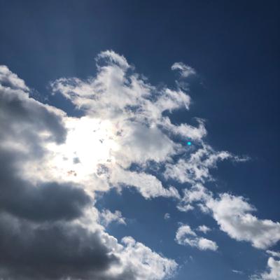月のリズムと私たち