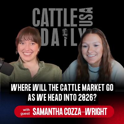 231: Where Will the Cattle Market Go as We Head Into 2026? with Samantha Cozza-Wright