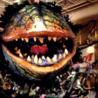 Bizarrazo: Especial primaveral