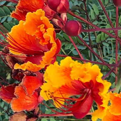 Sabbath Afternoon, May 18: Seasons of Parenting