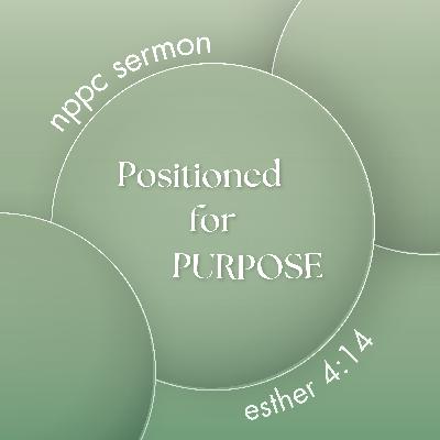 "Positioned For Purpose"